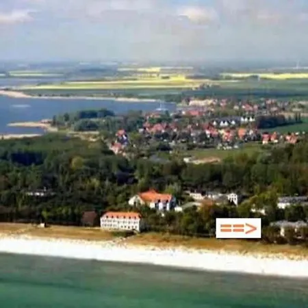 Arkonablick Seeloewe